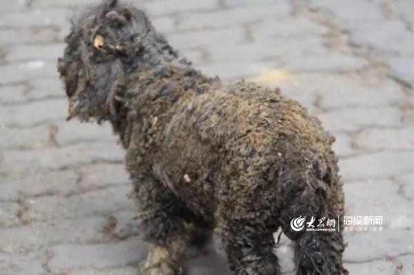 突發(fā)！青島一居民樓發(fā)生爆燃！已造1人死亡，7人受傷！3公里外有震感…