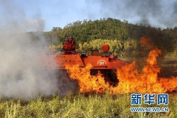 【動畫】森林草原防火“十不準(zhǔn)”“五不燒”！這些安全知識要牢記