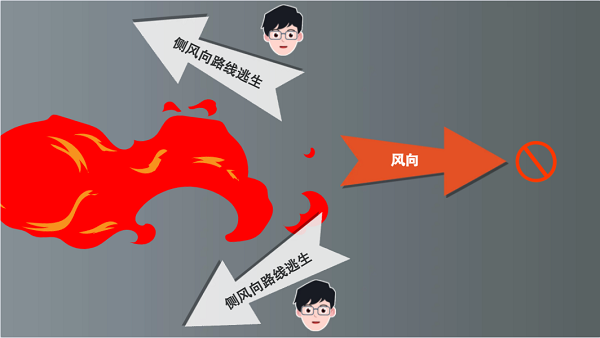 【動畫】森林草原防火“十不準(zhǔn)”“五不燒”！這些安全知識要牢記